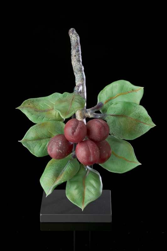 Small Plum Cluster by Kathleen Elliot, Image 1.