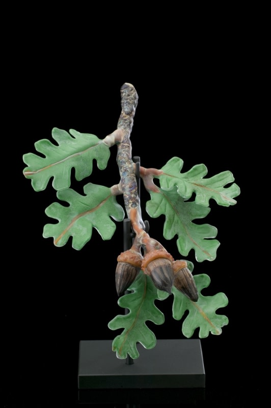 Acorns by Kathleen Elliot 