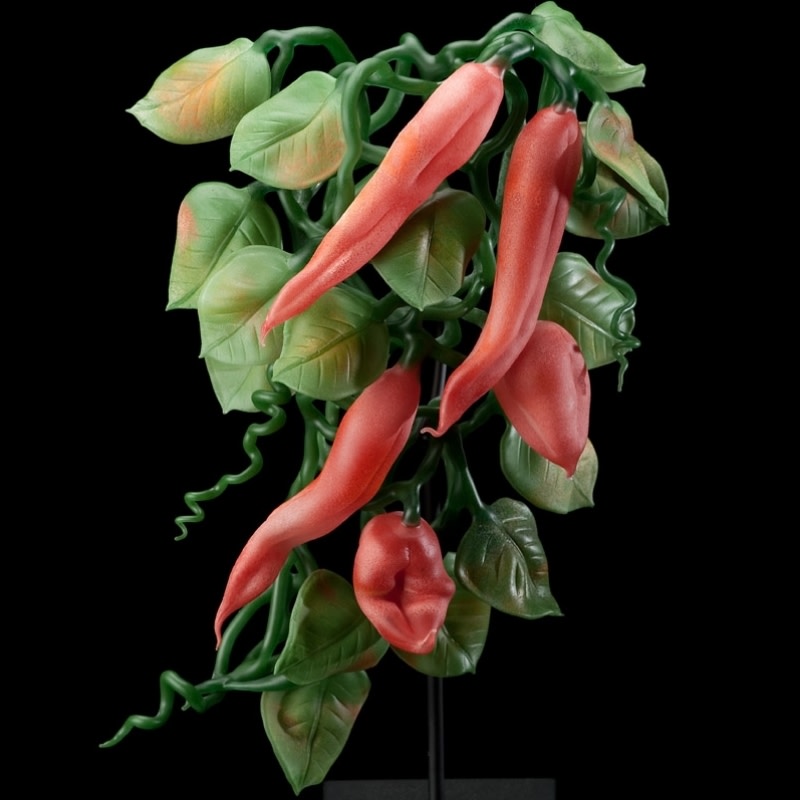 Peppers, 2 by Kathleen Elliot 