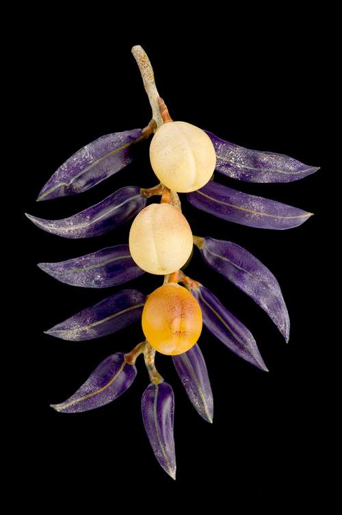 Nectarines with Cobalt Leaves by Kathleen Elliot, Image 1.