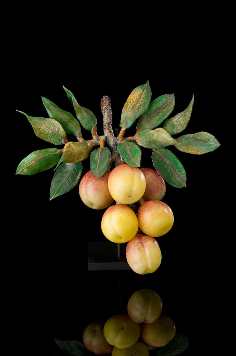 Nectarines by Kathleen Elliot, Image 1.