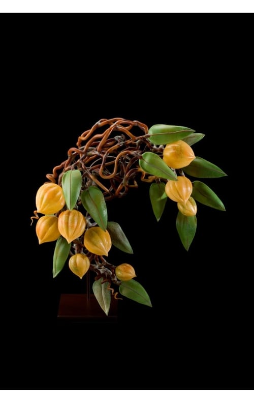 Sun Pods by Kathleen Elliot, Image 1.