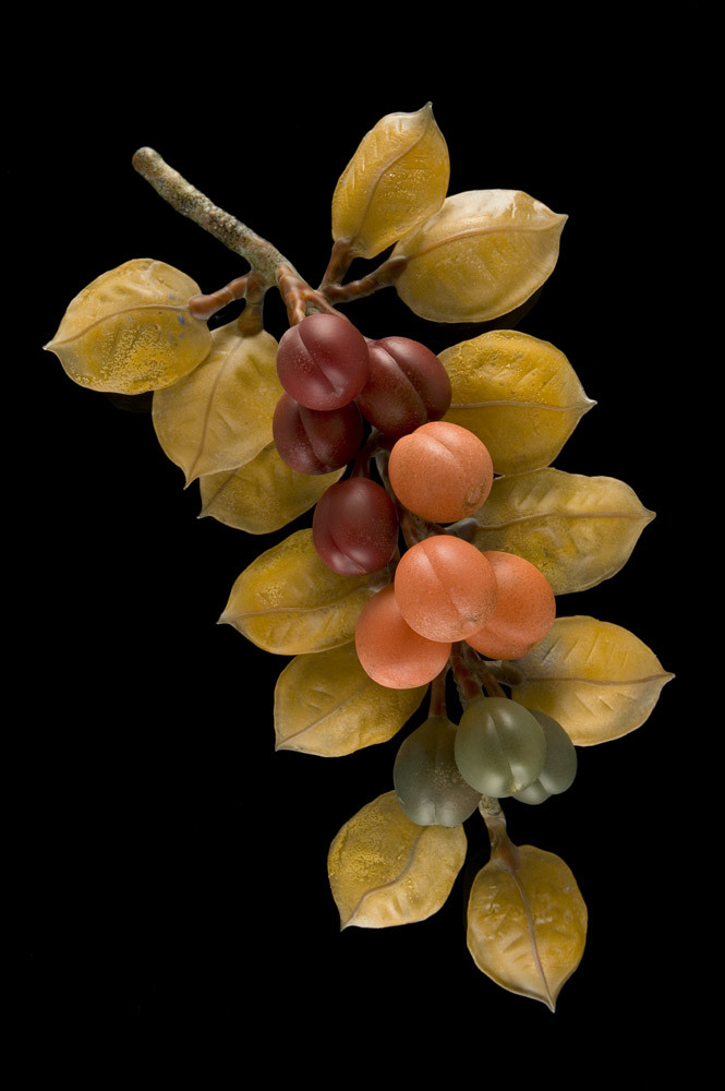 Ripening Plums by Kathleen Elliot 