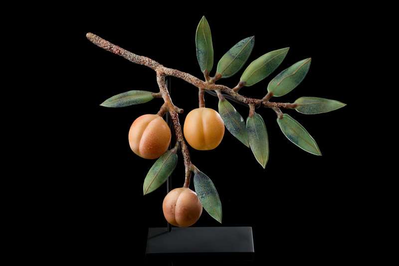 Peaches by Kathleen Elliot, Image 1.