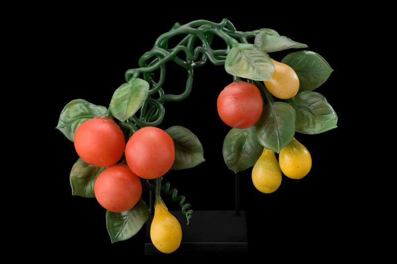 Tomatoes by Kathleen Elliot, Image 1.