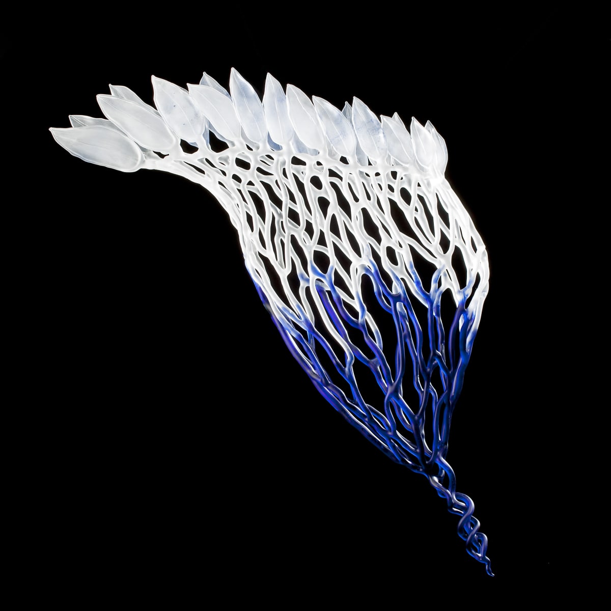 Flight by Kathleen Elliot, Image 1.
