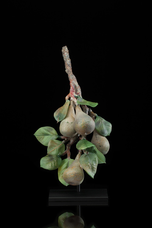 Pears by Kathleen Elliot 