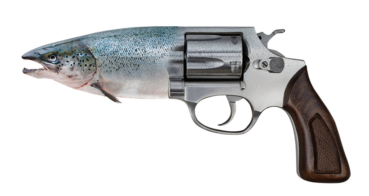 GMO Salmon by Kathleen Elliot 