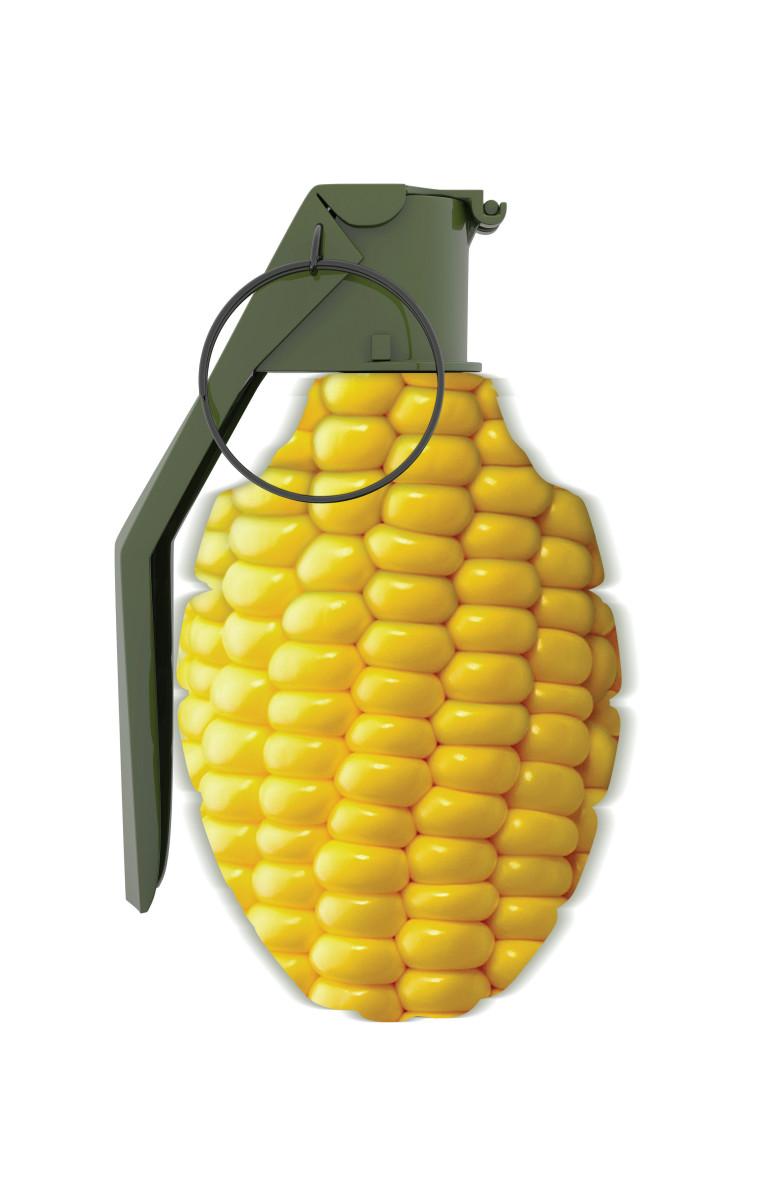 GMO Corn by Kathleen Elliot 