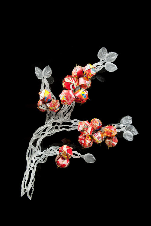 Questionable Foods #3 by Kathleen Elliot 