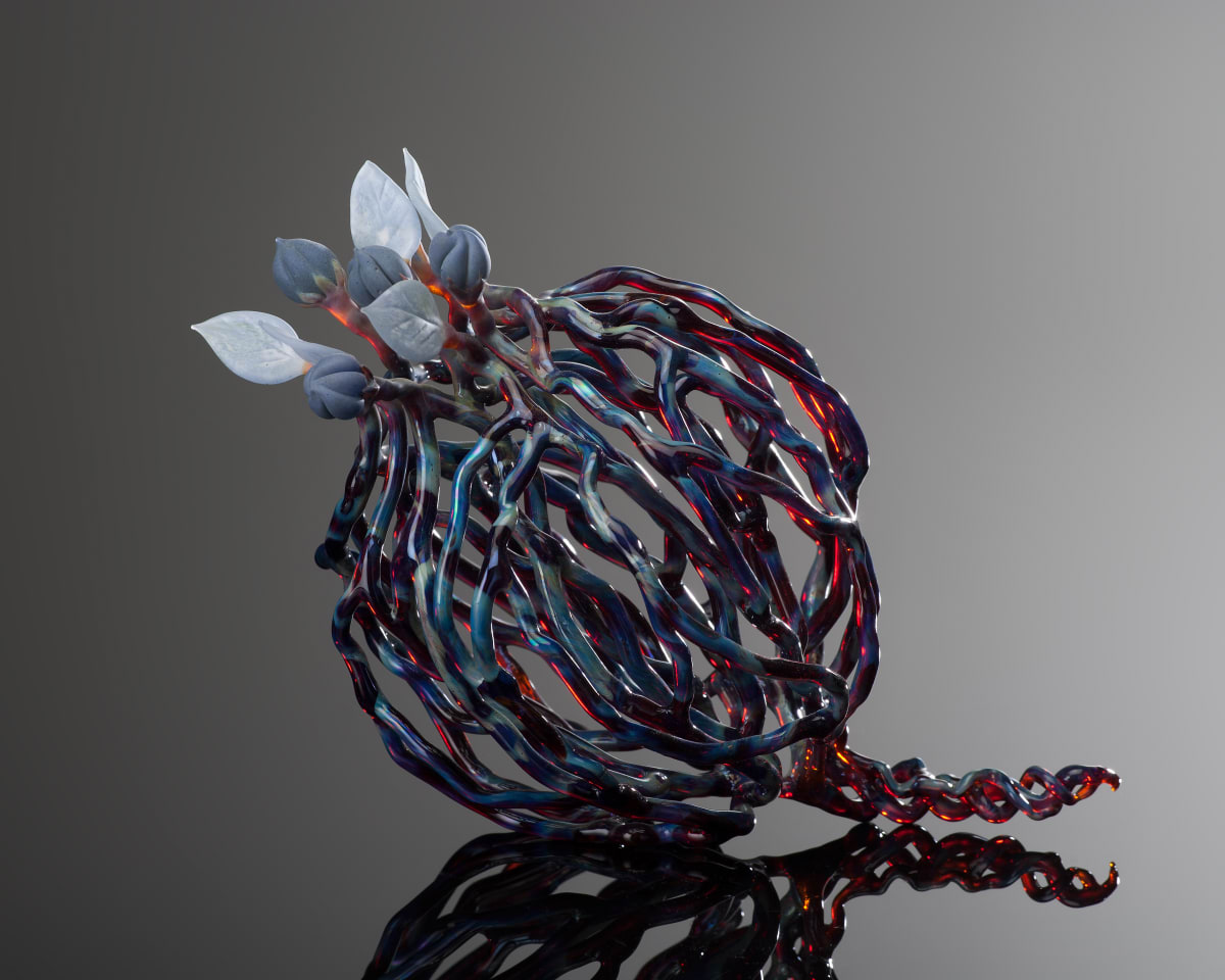 Tumbleweed from Elsewhere by Kathleen Elliot 