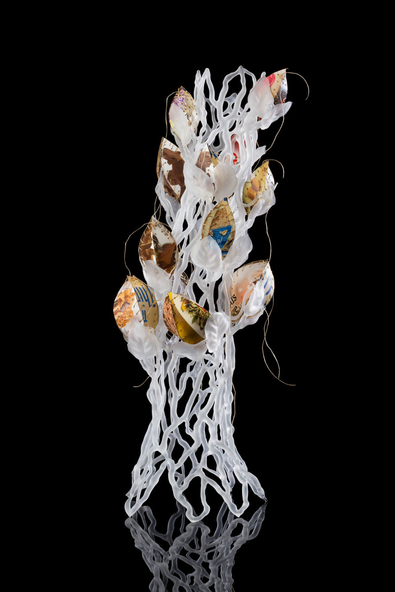 Brown Pods by Kathleen Elliot 