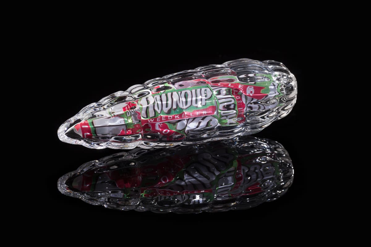 Questionable Foods, Glyphosate Corn by Kathleen Elliot 