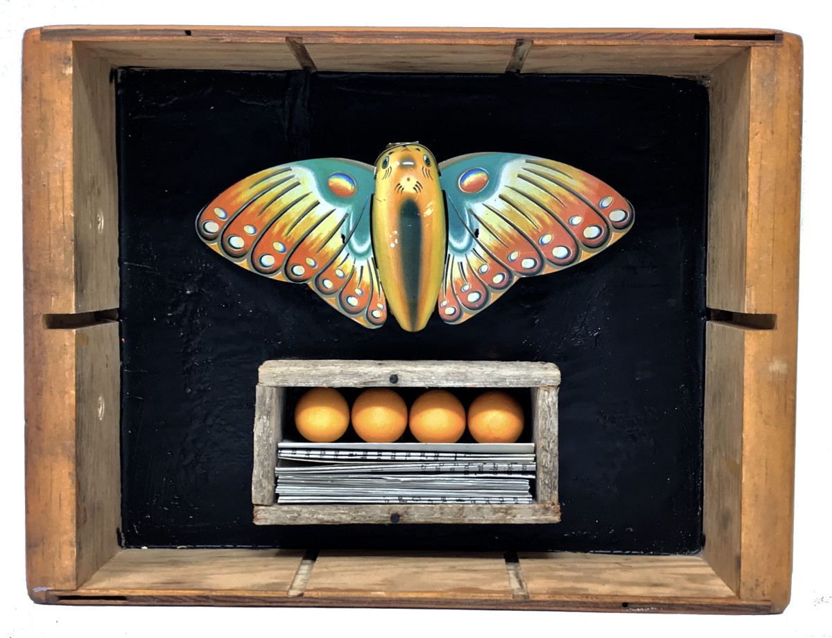 Butterfly Box #6 by Robin Howard 