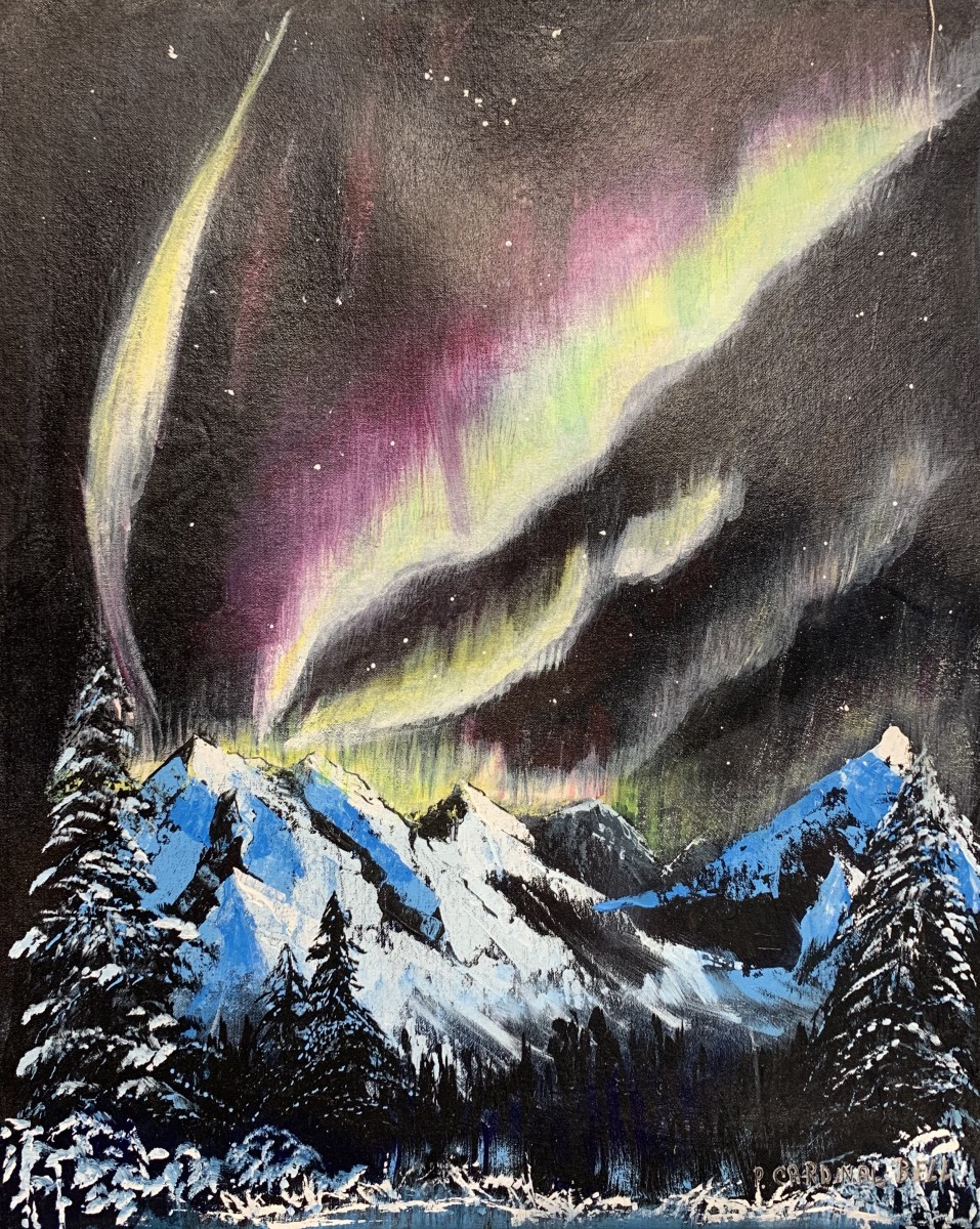 Alaska mountains and Aurora Borealis Lights by Pamela Bell 