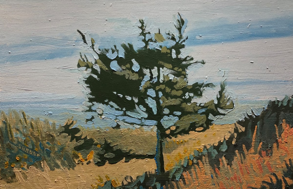 Sentinel #1 by Randy Swann 