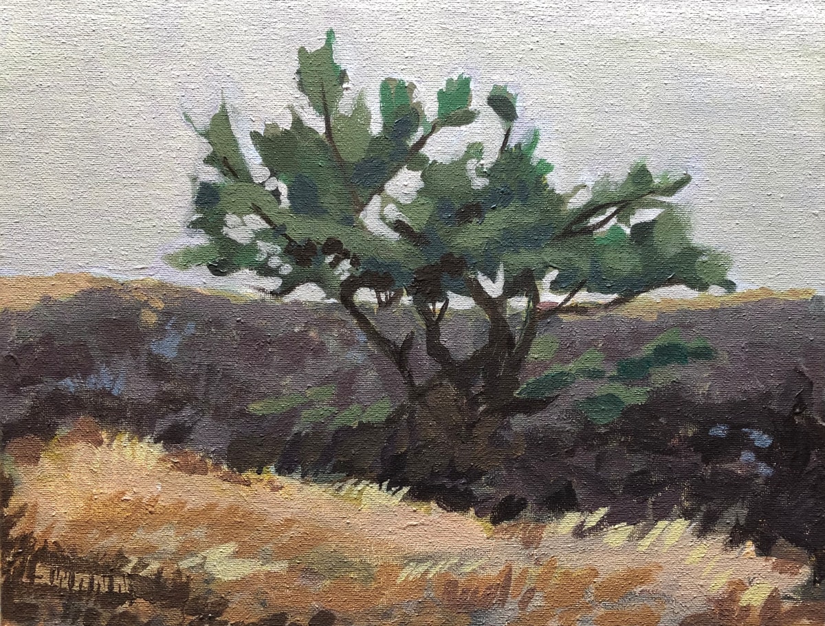 Sentinel #5 by Randy Swann, Image 1.