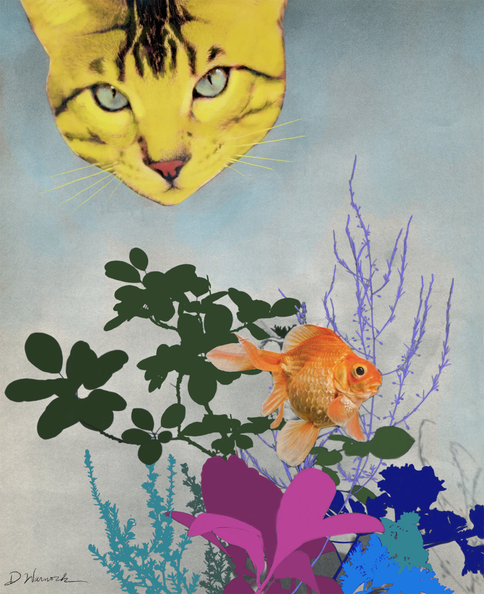 The Story of Cat and Fish by Debbie Warnock  Image: “The Story of Cat and Fish”, a do it yourself bedtime story. How many different versions of this story can you come up with?
