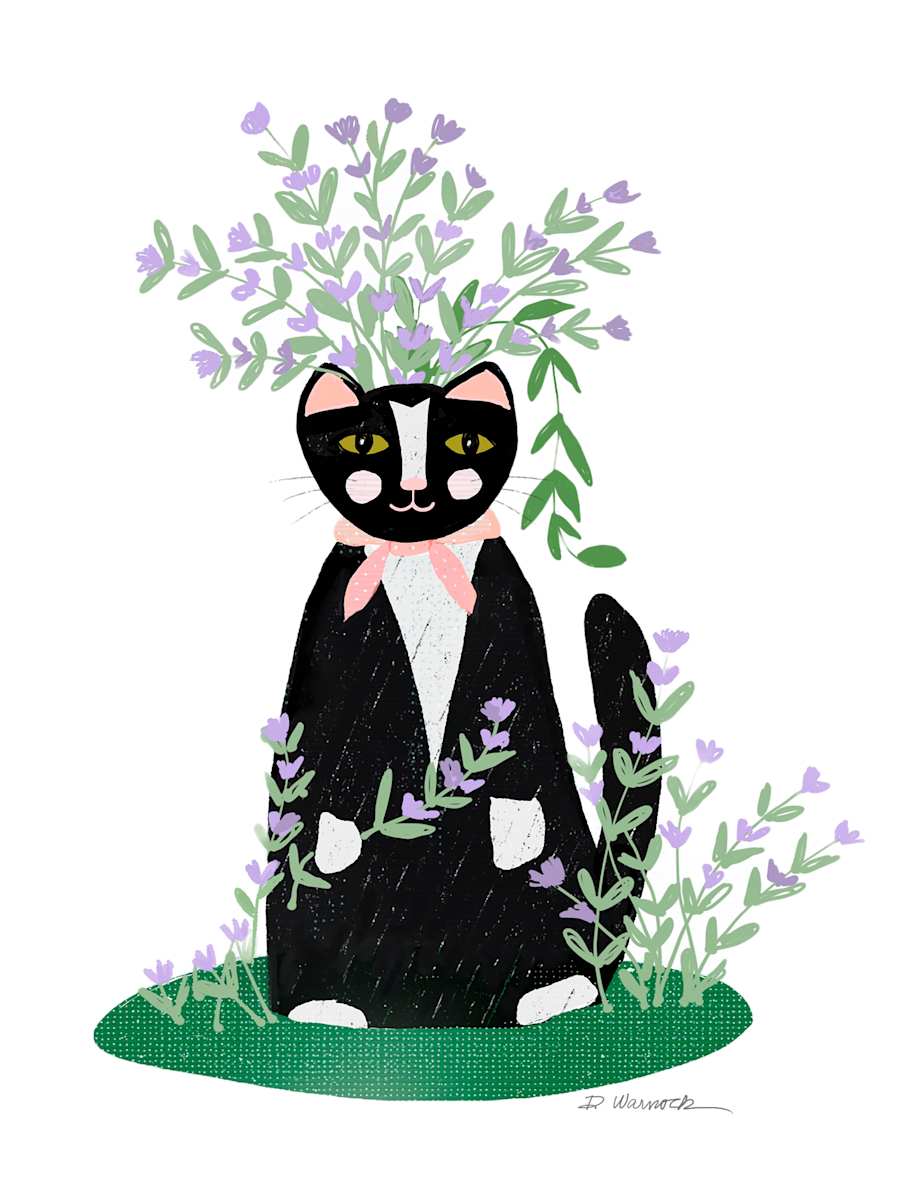 Catmint Kitty by Debbie Warnock 