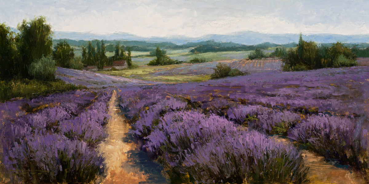 Lavender Fields by Jane Hunt 