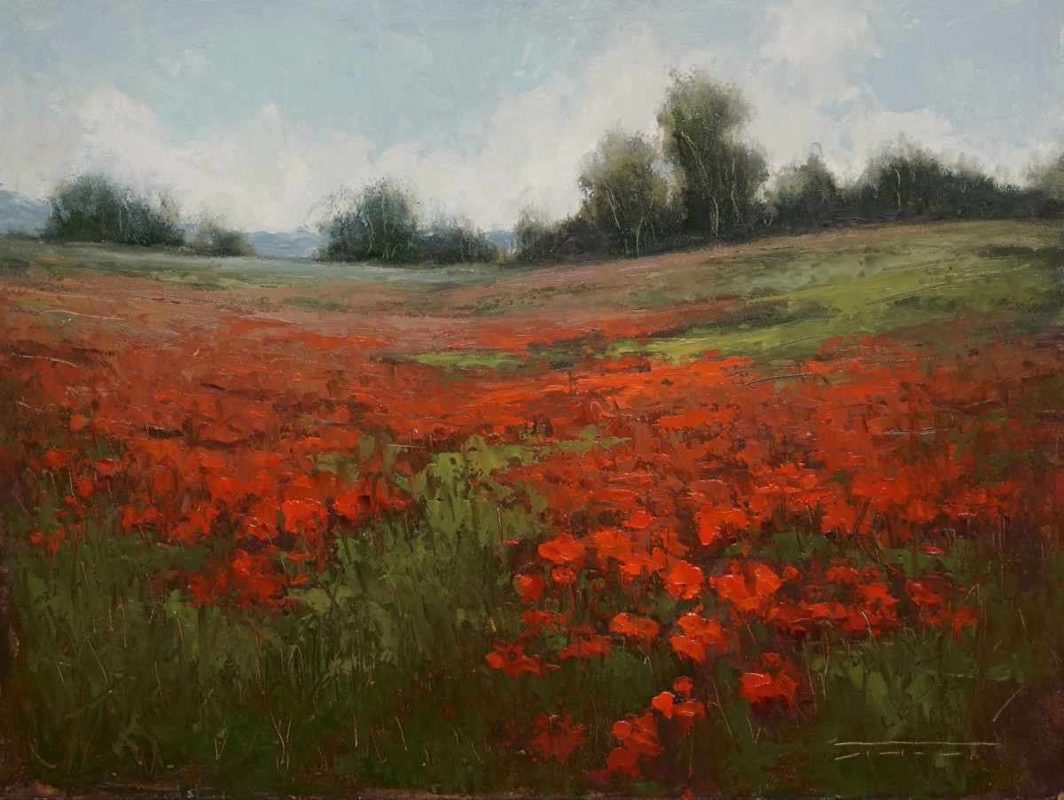 May Poppies by Jane Hunt 