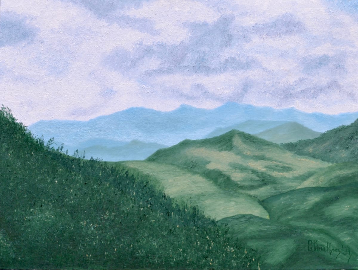 A Distant View by Patricia Hynes 