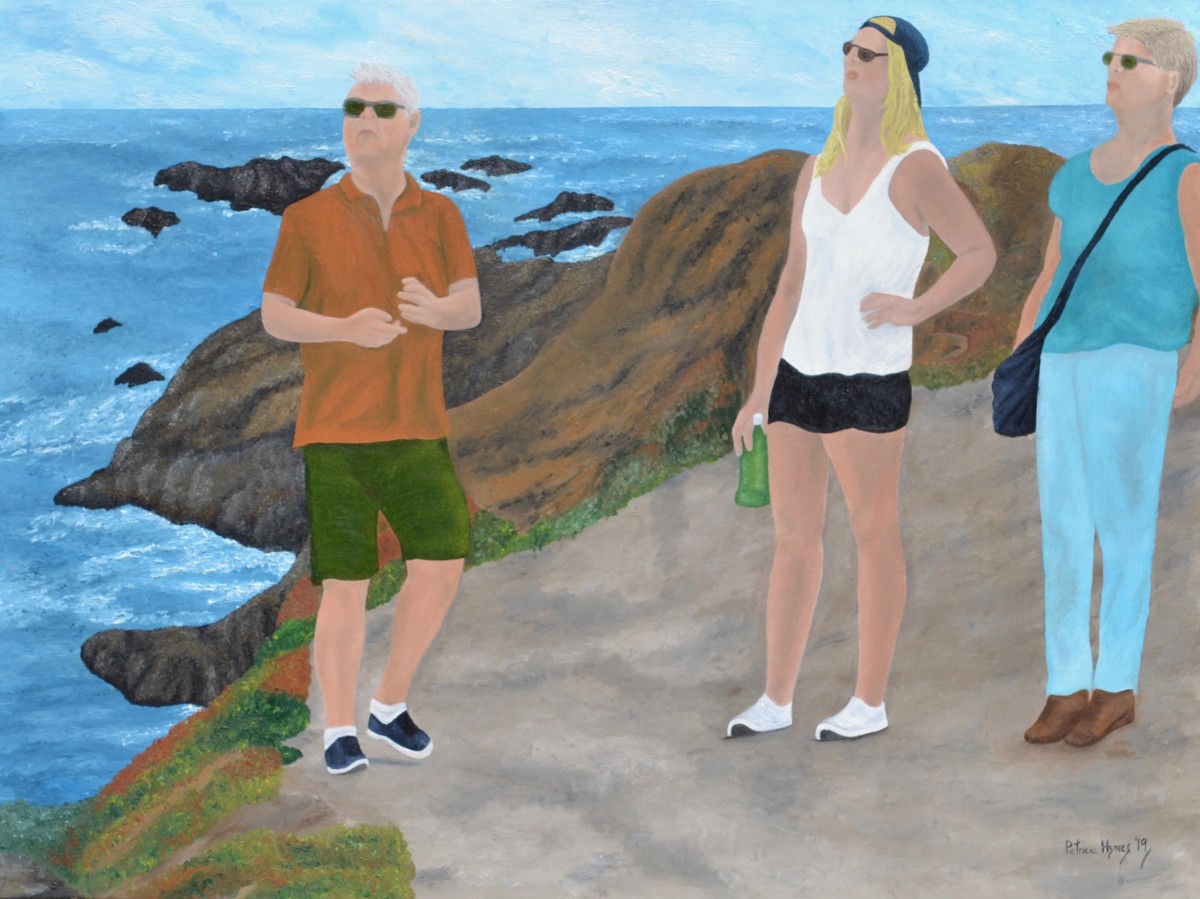 Rapt Attention by Patricia Hynes 