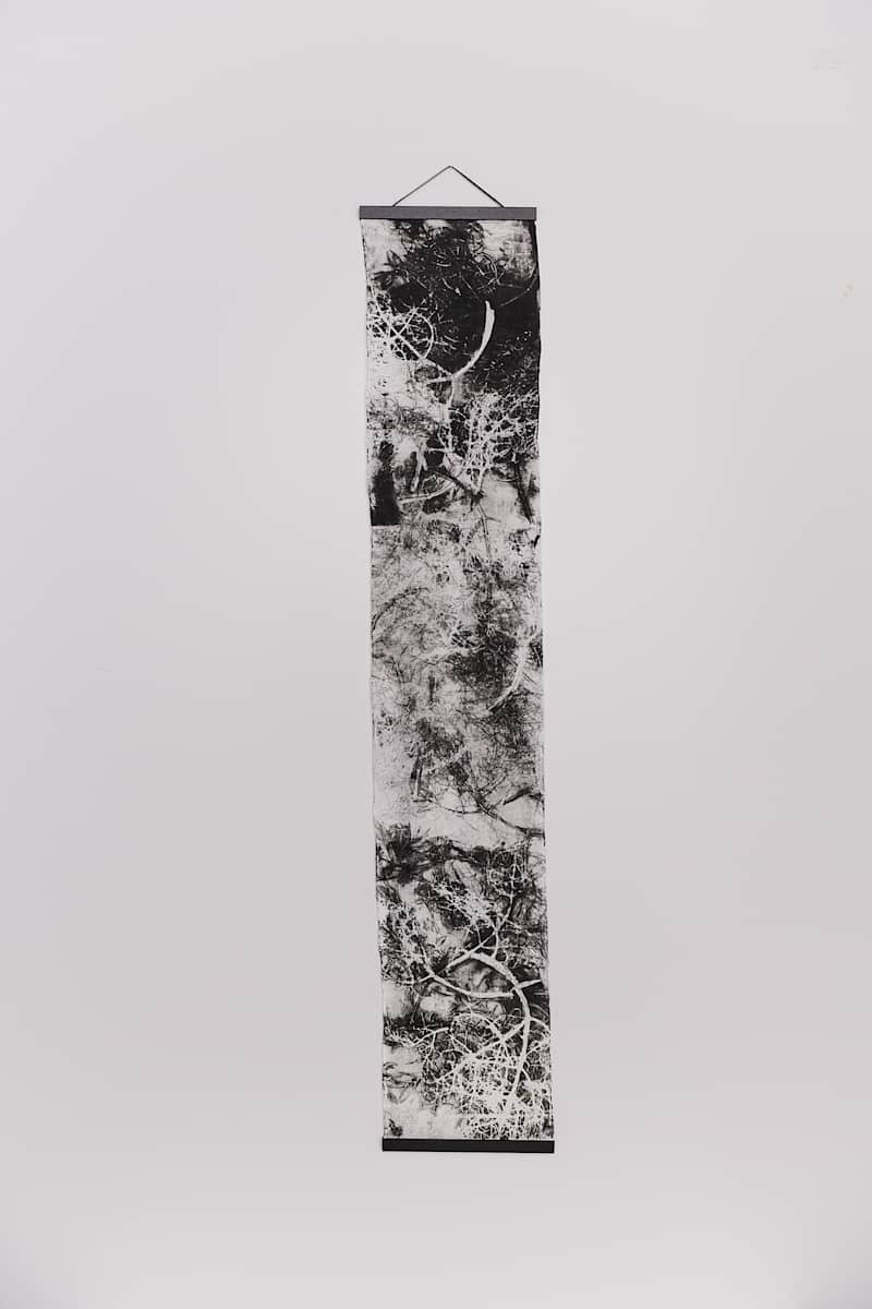 Fossil by Jamie Lee Ohland, Image 1.