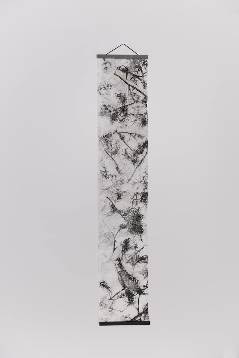 Branched by Jamie Lee Ohland 