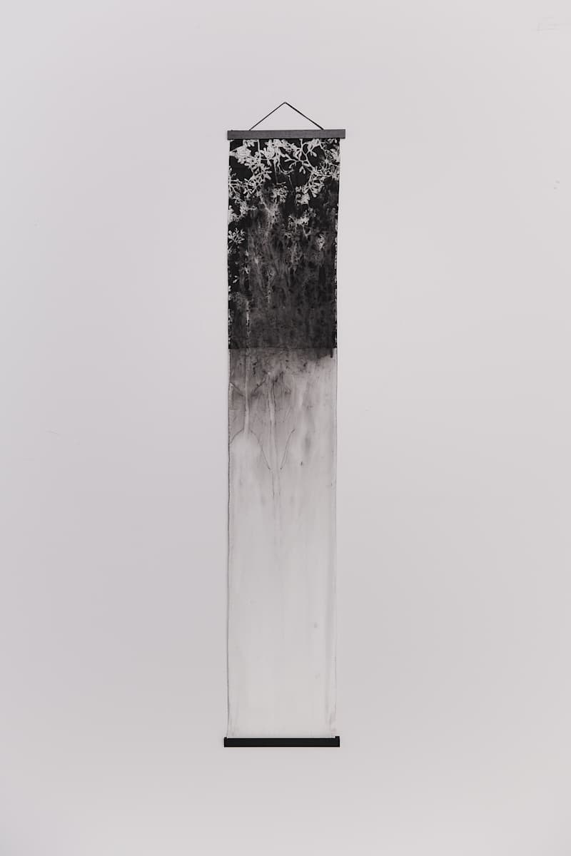 Weeping by Jamie Lee Ohland 