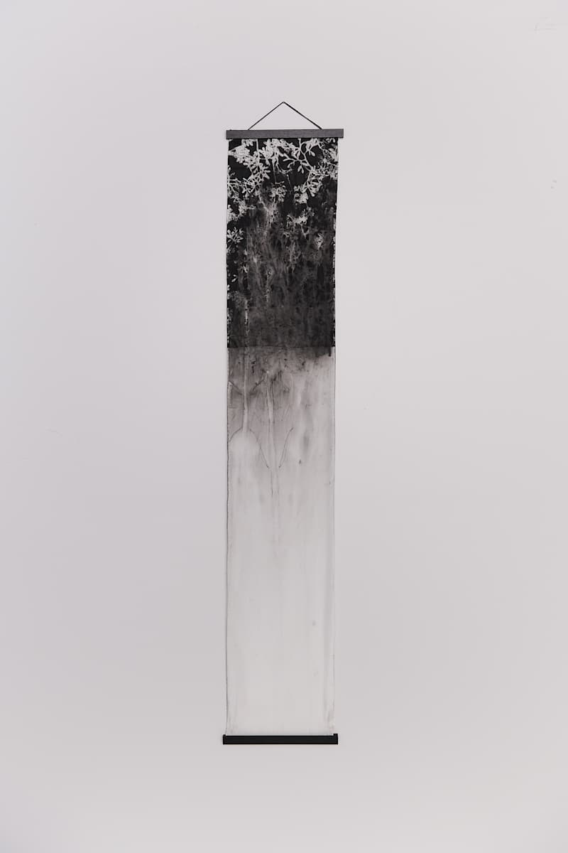 Weeping by Jamie Lee Ohland, Image 1.