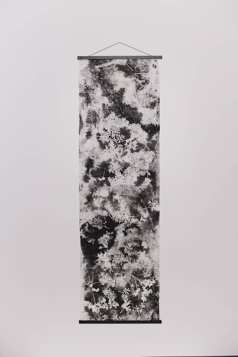 Scattered by Jamie Lee Ohland, Image 1.