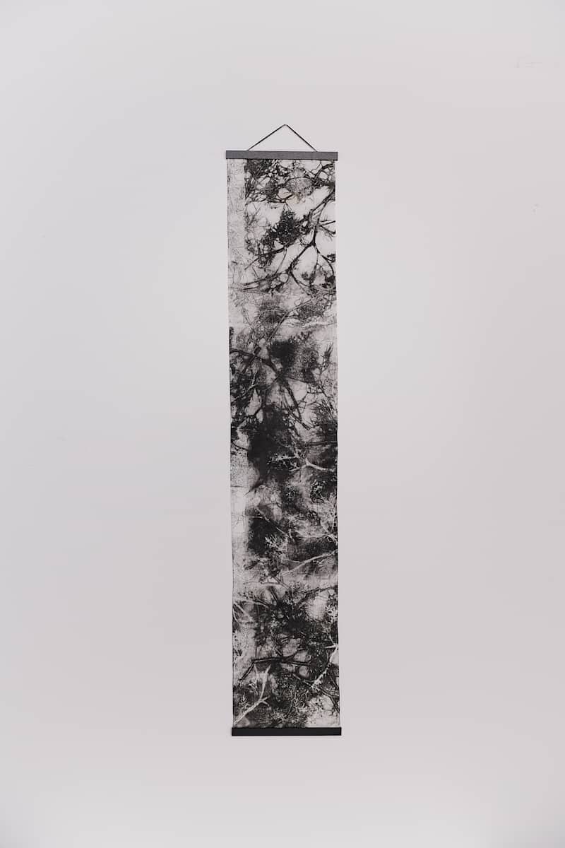 Synapsis by Jamie Lee Ohland 