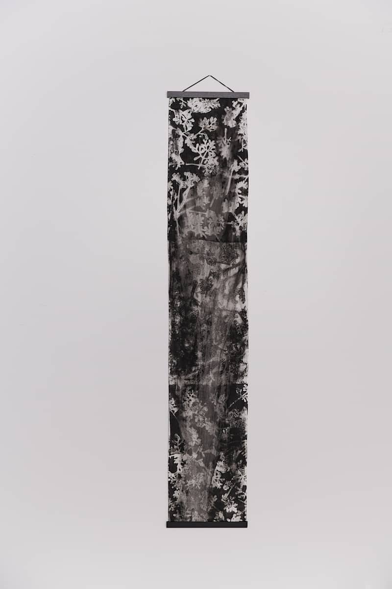 Scratch by Jamie Lee Ohland, Image 1.