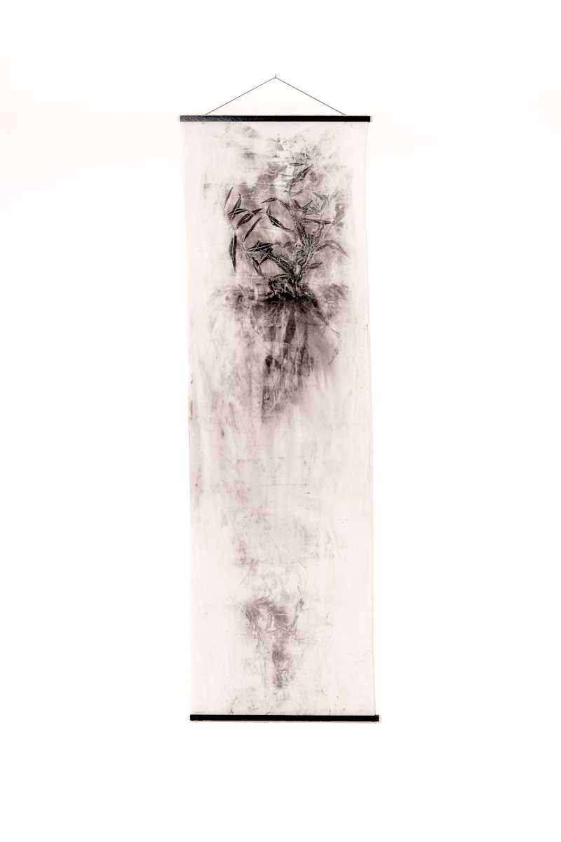 Ghost Light by Jamie Lee Ohland 