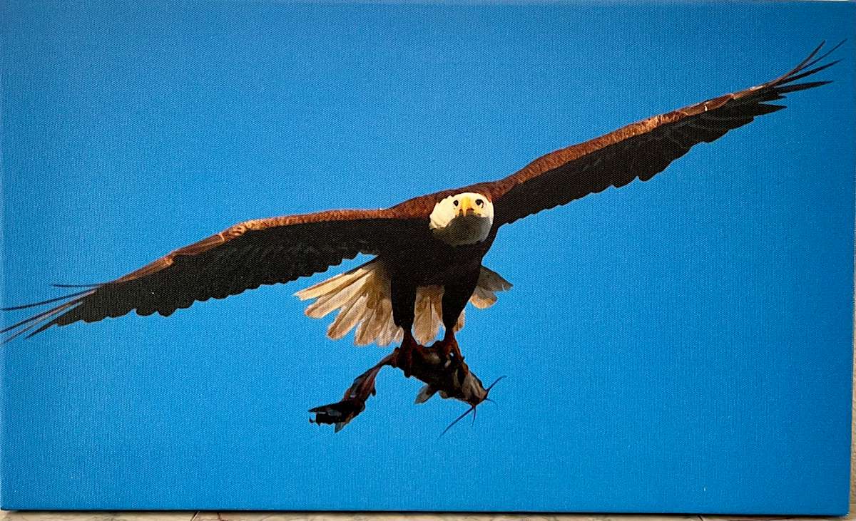 What A Catch! by Sandra G Cooper, Image 1.