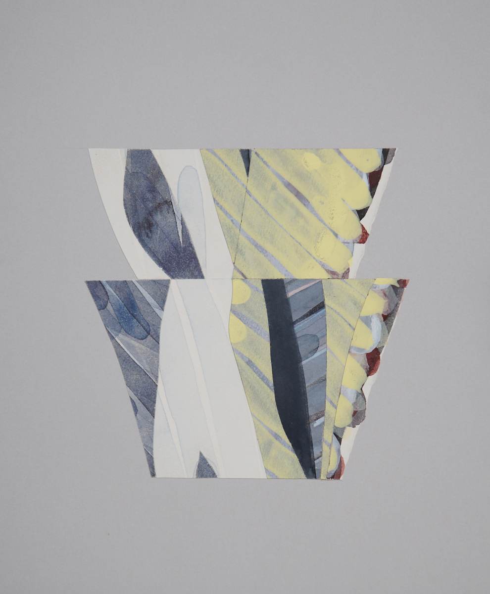 Arroyo by Stephanie McCloud 