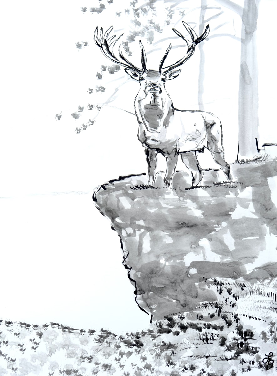 Elk Or DEER? by Lucy Boland  Image: Elk