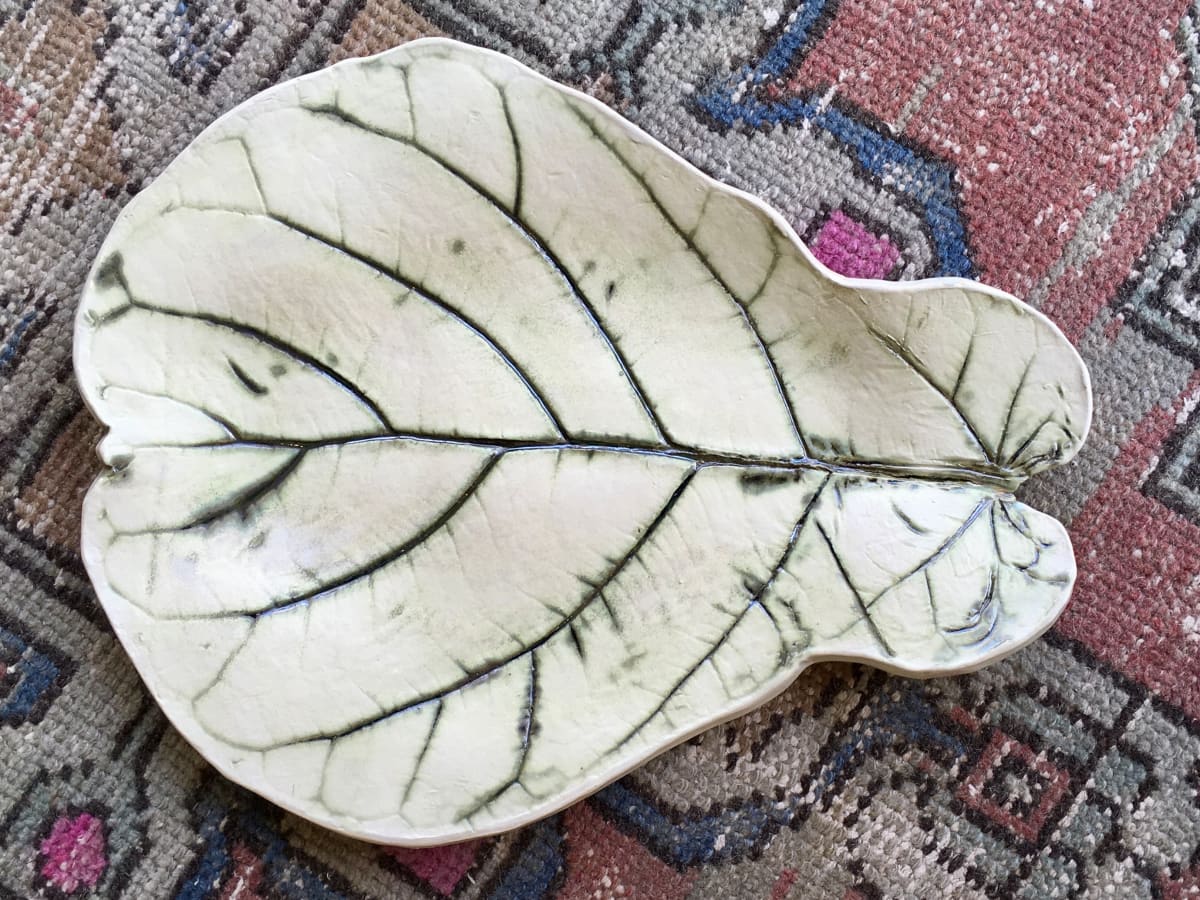 Fiddle Fig 1 by Lucy Boland 