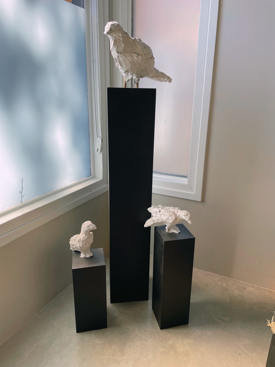 Crows by Aaron Mitchell Johnson 