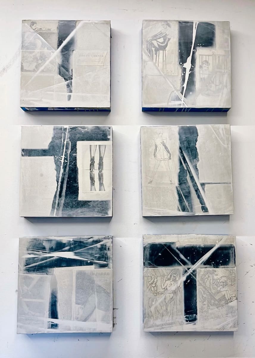 Bizarre Series by Aaron Mitchell Johnson 