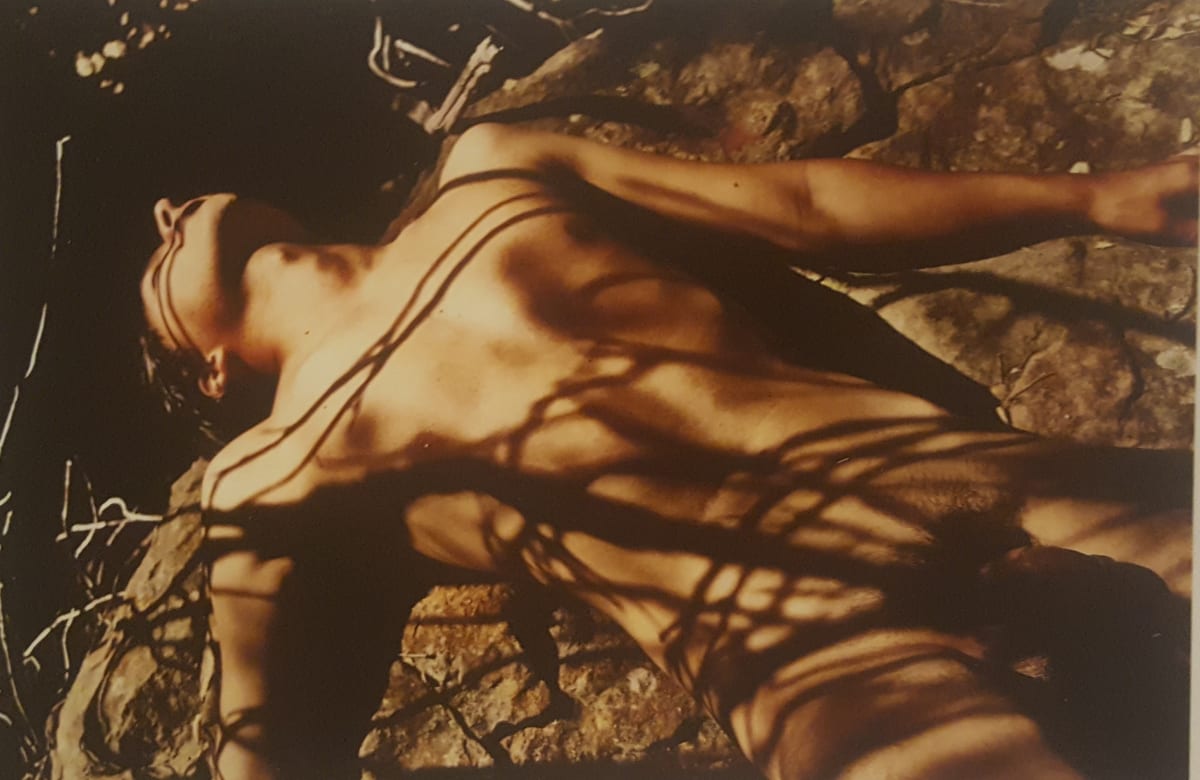 Tied Down by Terry Hastings 