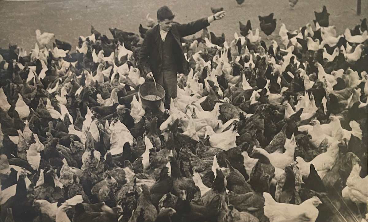 Activity on the Farm, Image 1.