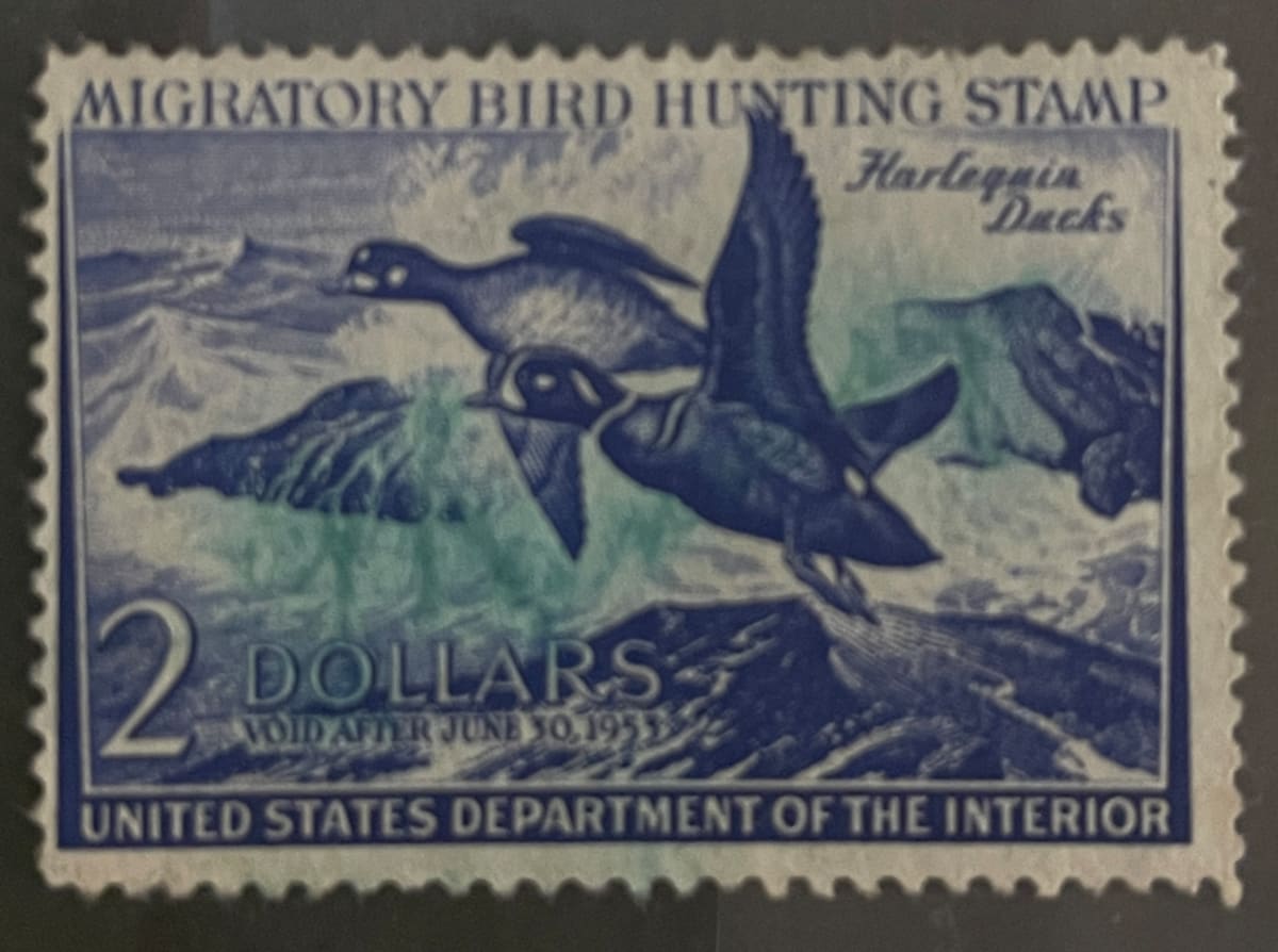 US RW19 Duck Hunting Stamp 