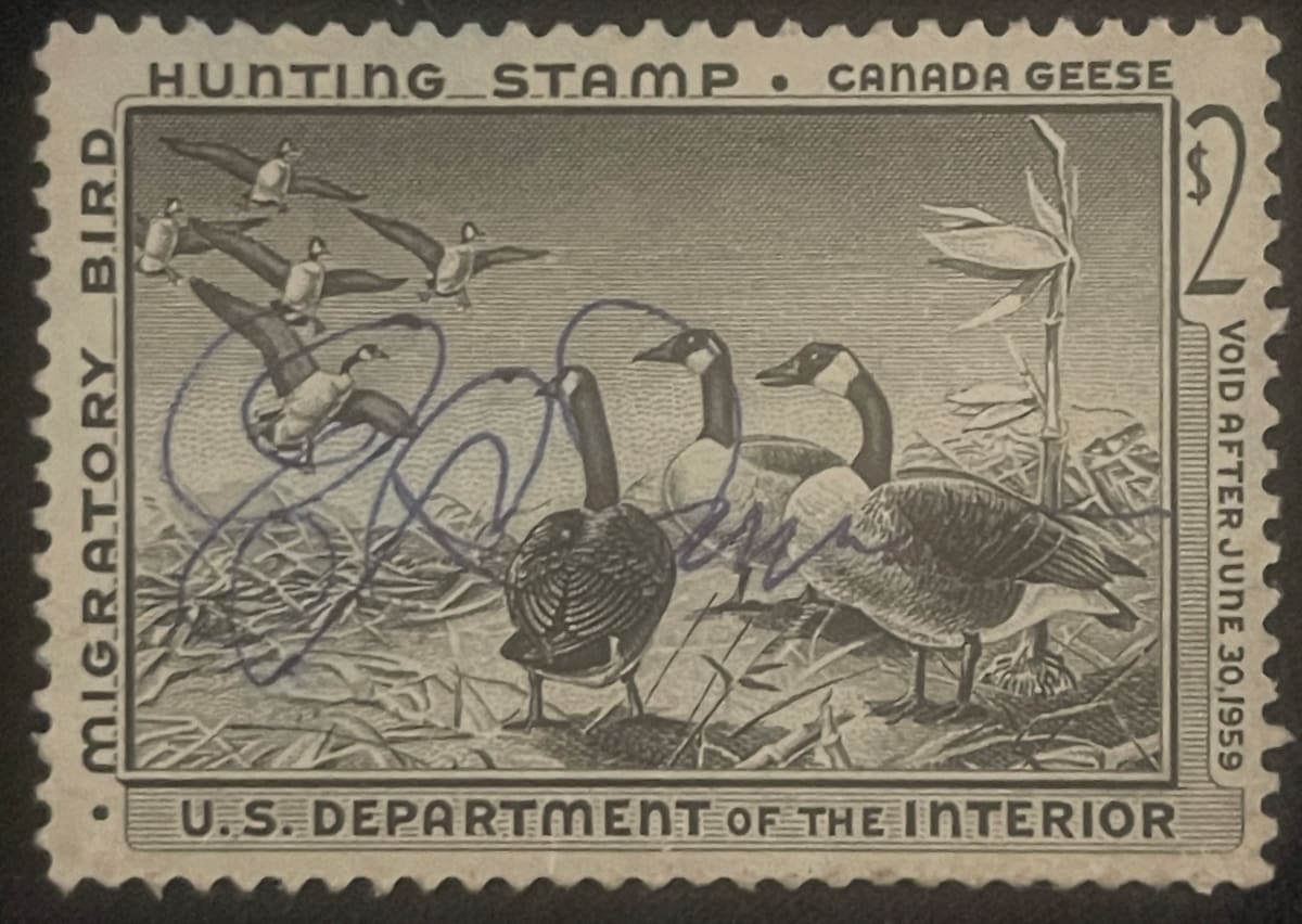 US RW25 Duck Hunting Stamp 