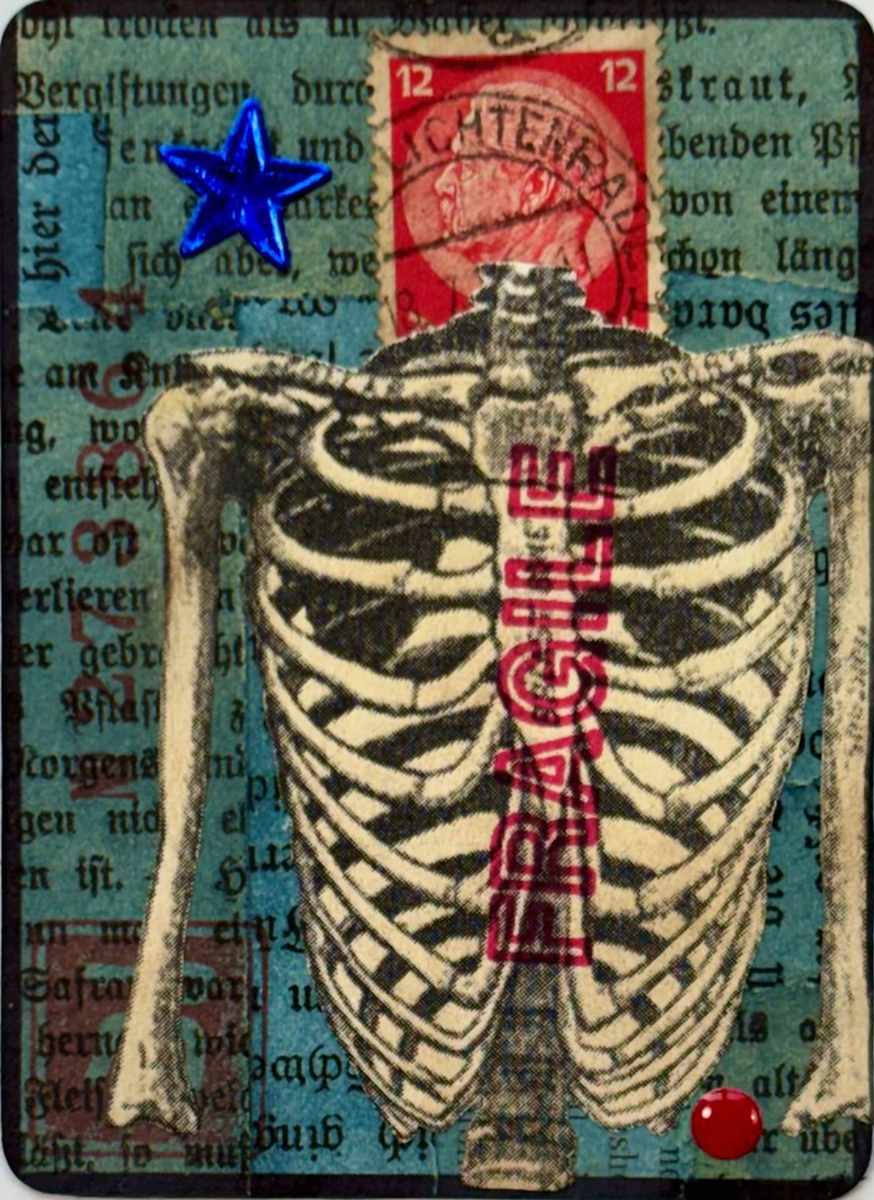 Fragile by Ruth Donikowski 