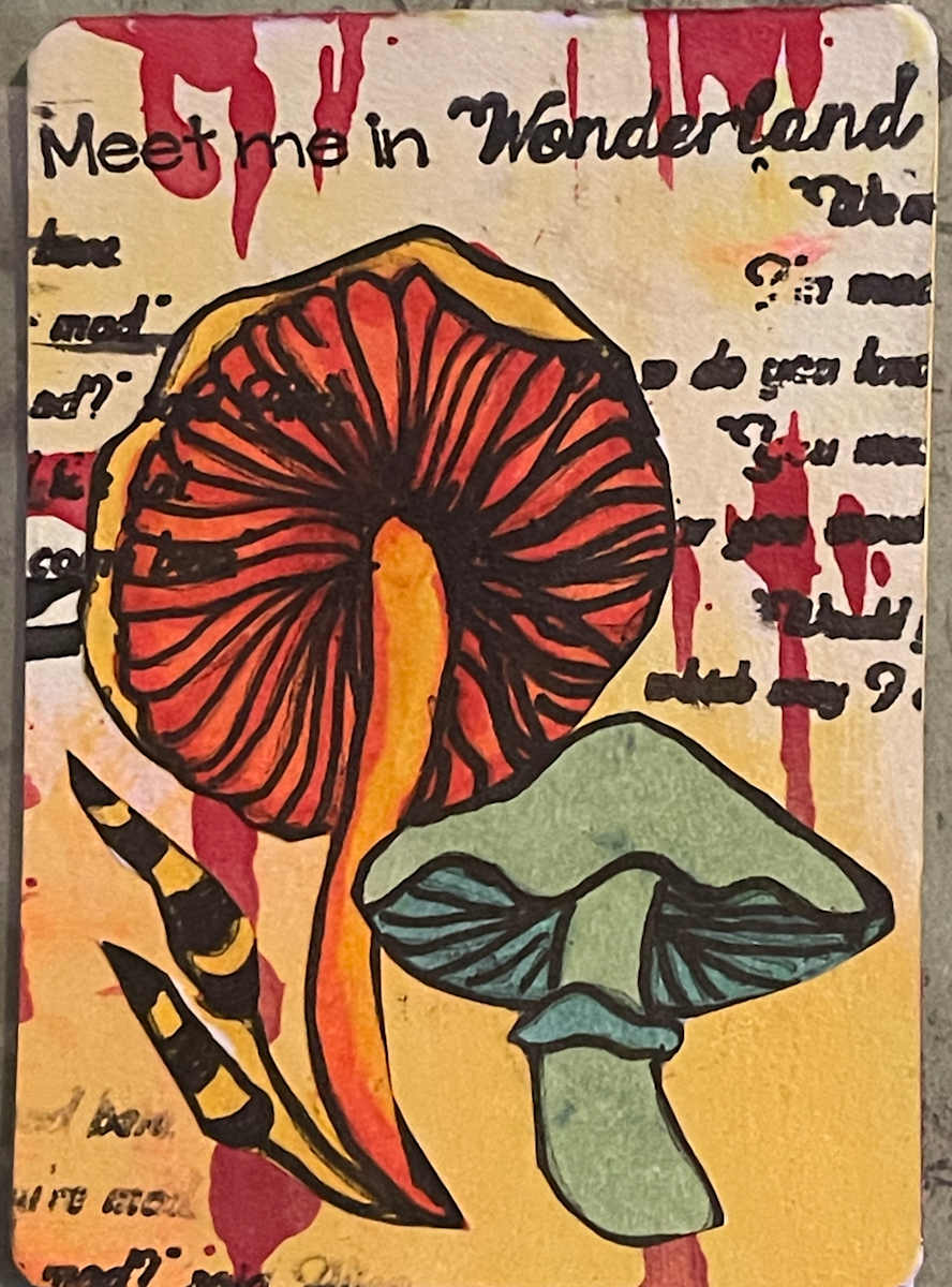 Meet Me in Wonderland by Dulce Monroy 