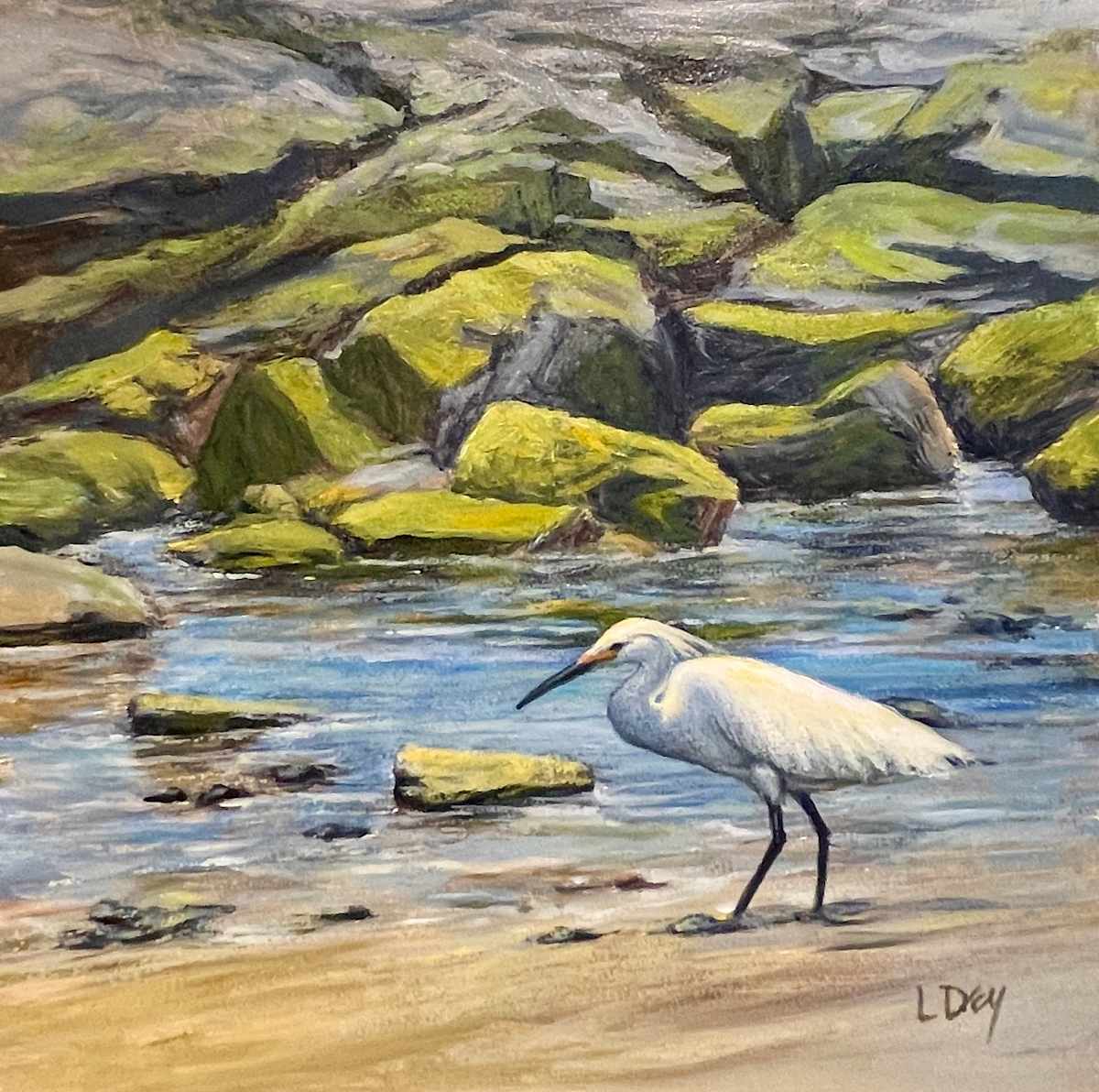 Fishing the Jetty by Lorraine  Dey 