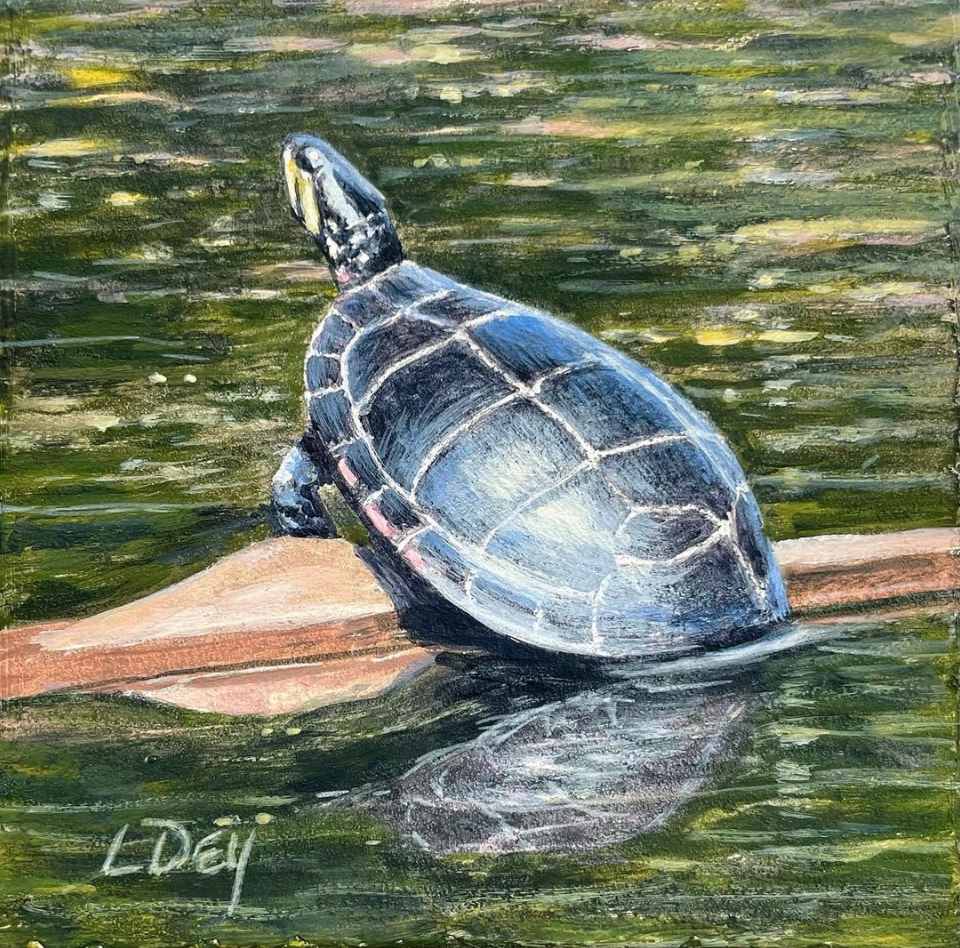 Turtle Log by Lorraine  Dey 