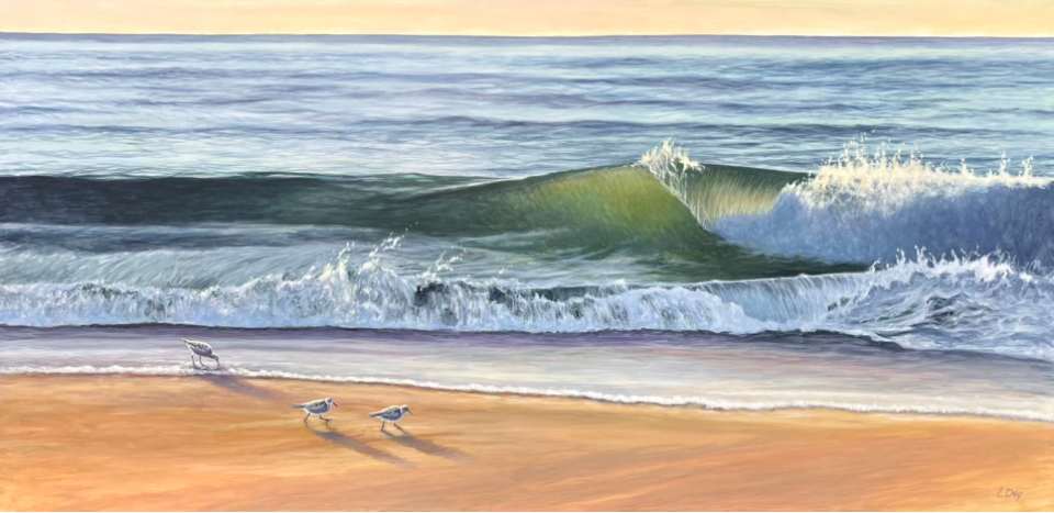 Sanderlings at Duck Beach by Lorraine  Dey 